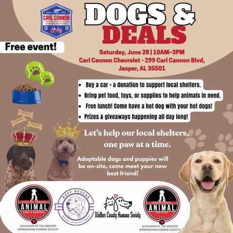 Ruff Rescue Dogs and Deals event flyer with three dogs pictured